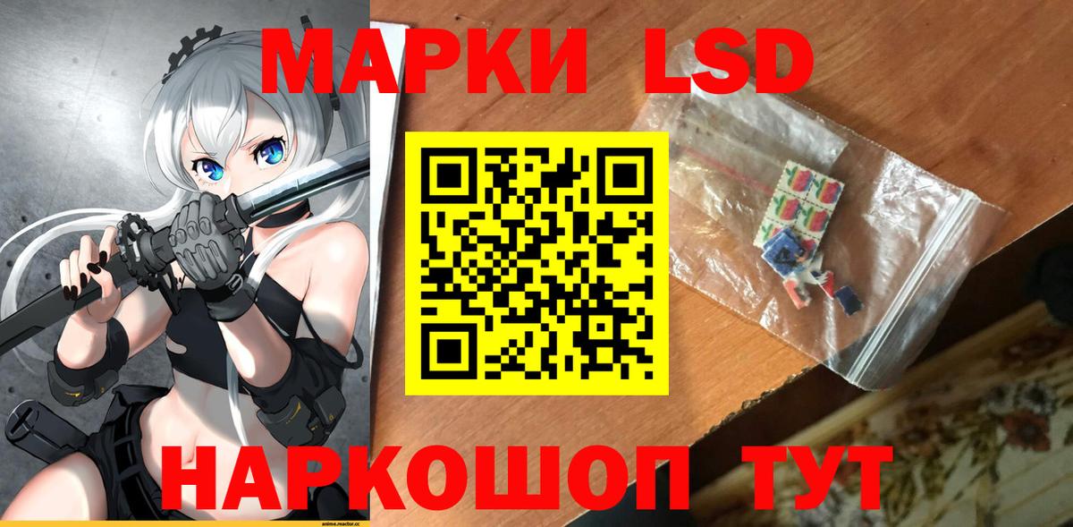 Галлюциногенные грибы Губкинский