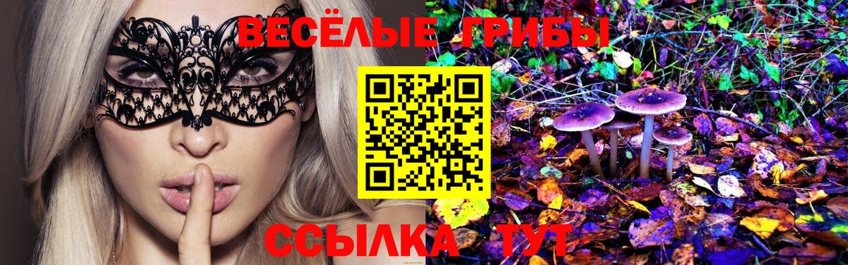 наркошоп  Псилоцибиновые грибы MAGIC MUSHROOMS  Вход с VPN  Губкинский 